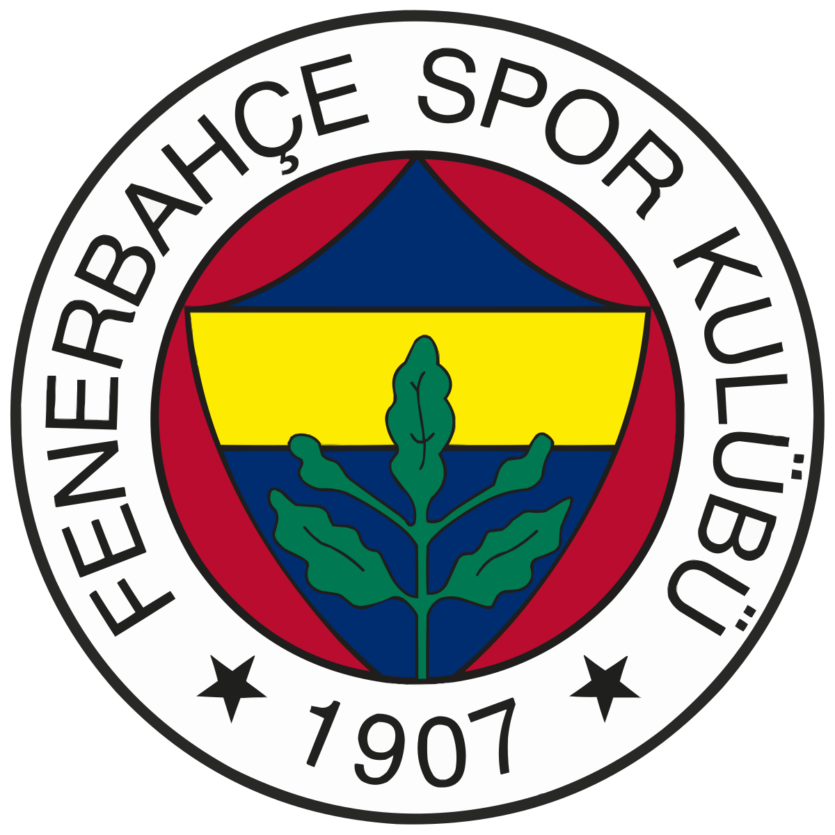 Trang chủ 45 Fenerbahce U19